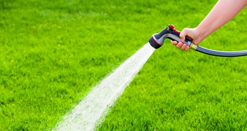 Manufacturing Plants