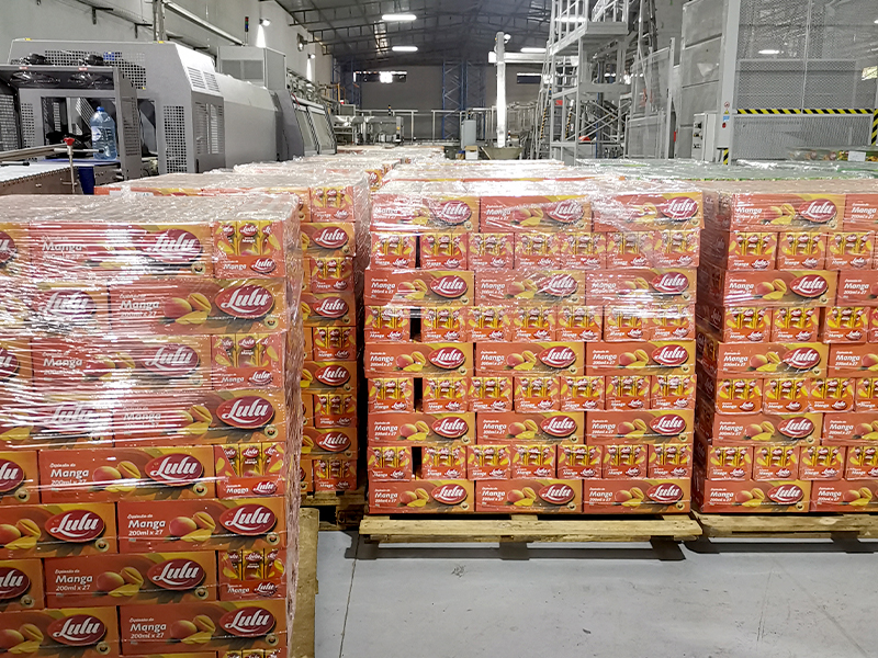 Installation Process