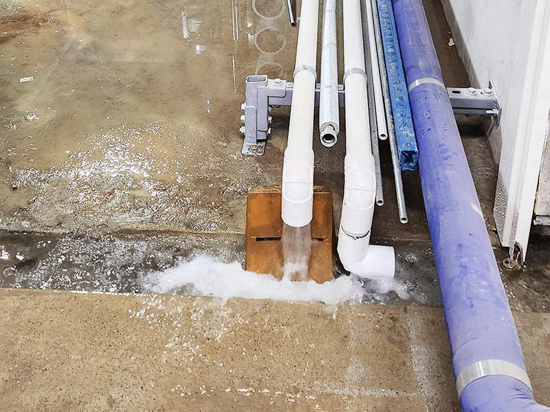 Installation Process