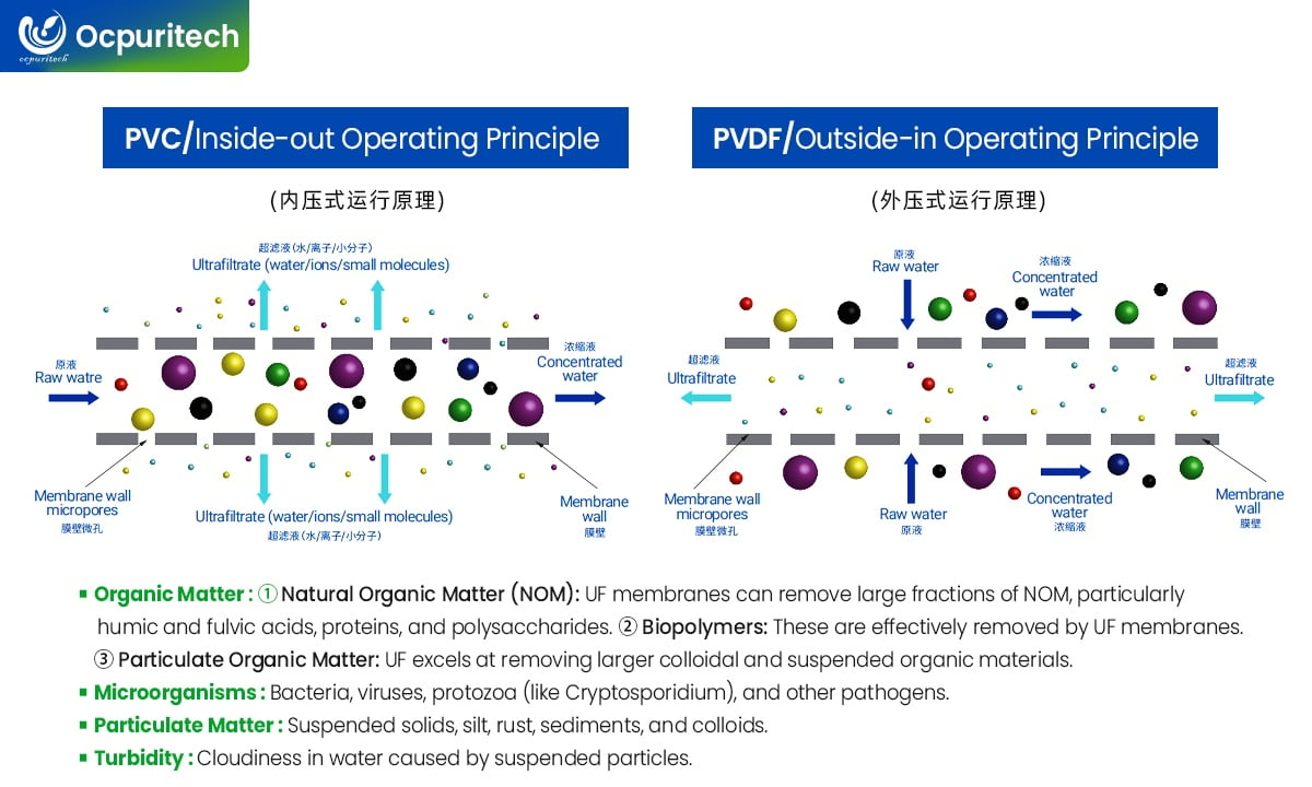 Diagram showing water passing through an ultrafiltration membrane
