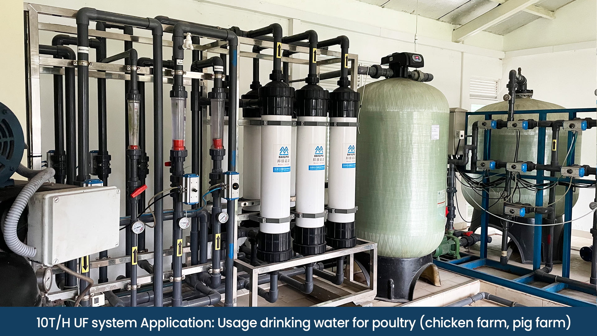 10t/h UF system usage drinking water for poultry(chicken farm, pig farm)