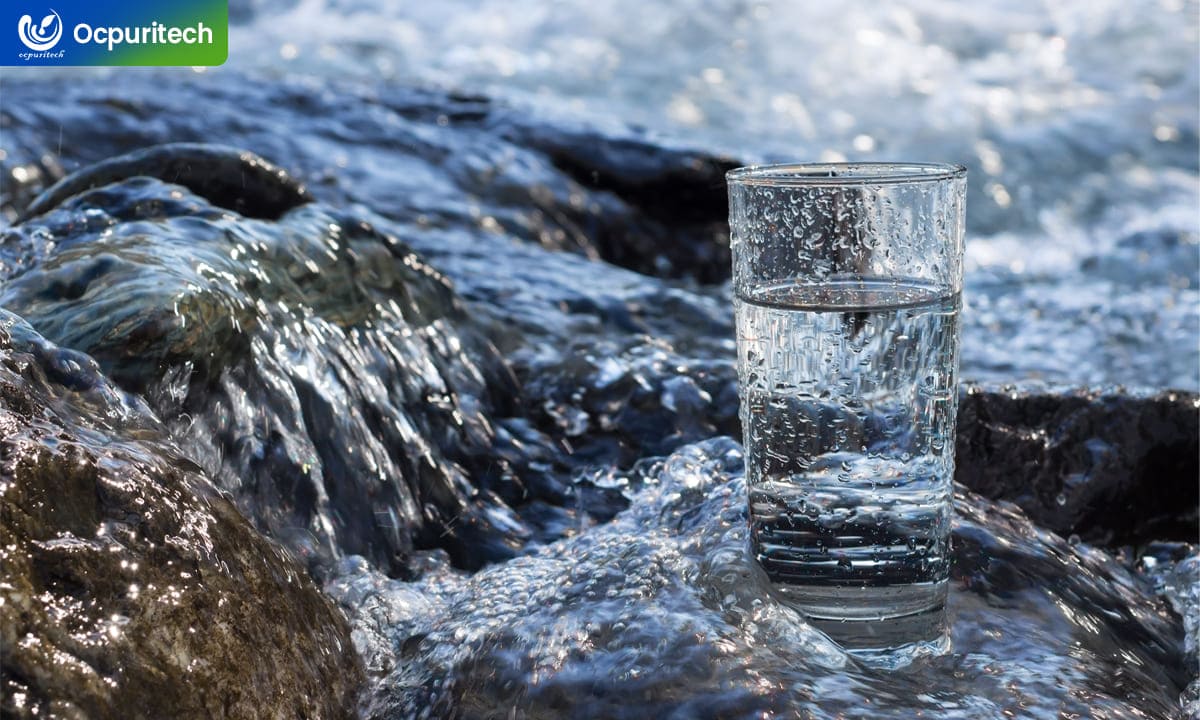 Untreated spring water