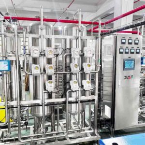 1TPH sanitary grade SS316L double pass RO system
