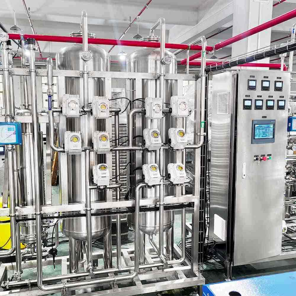 1TPH sanitary grade SS316L double pass RO system