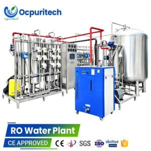 Pharmaceutical water systems ss316l double pass ro plant