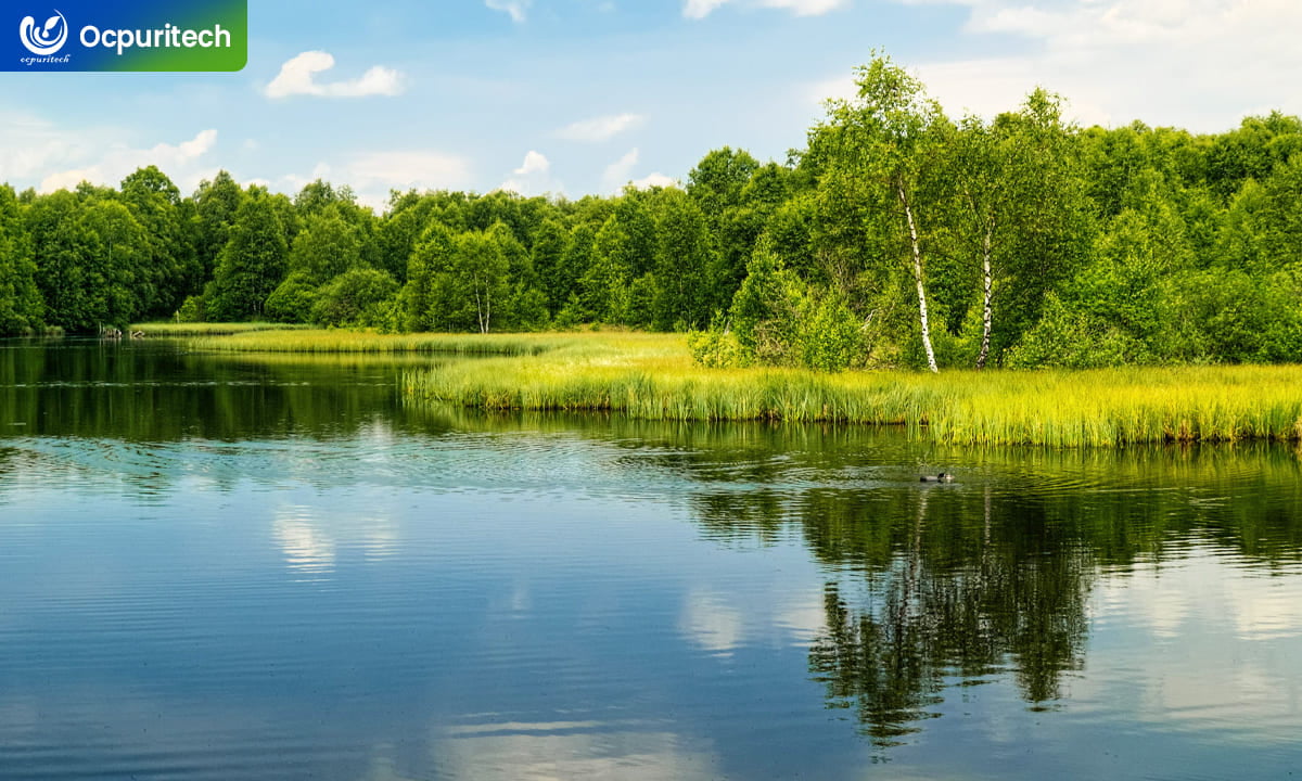 Raw river water source used for designing a customized river water filtration system