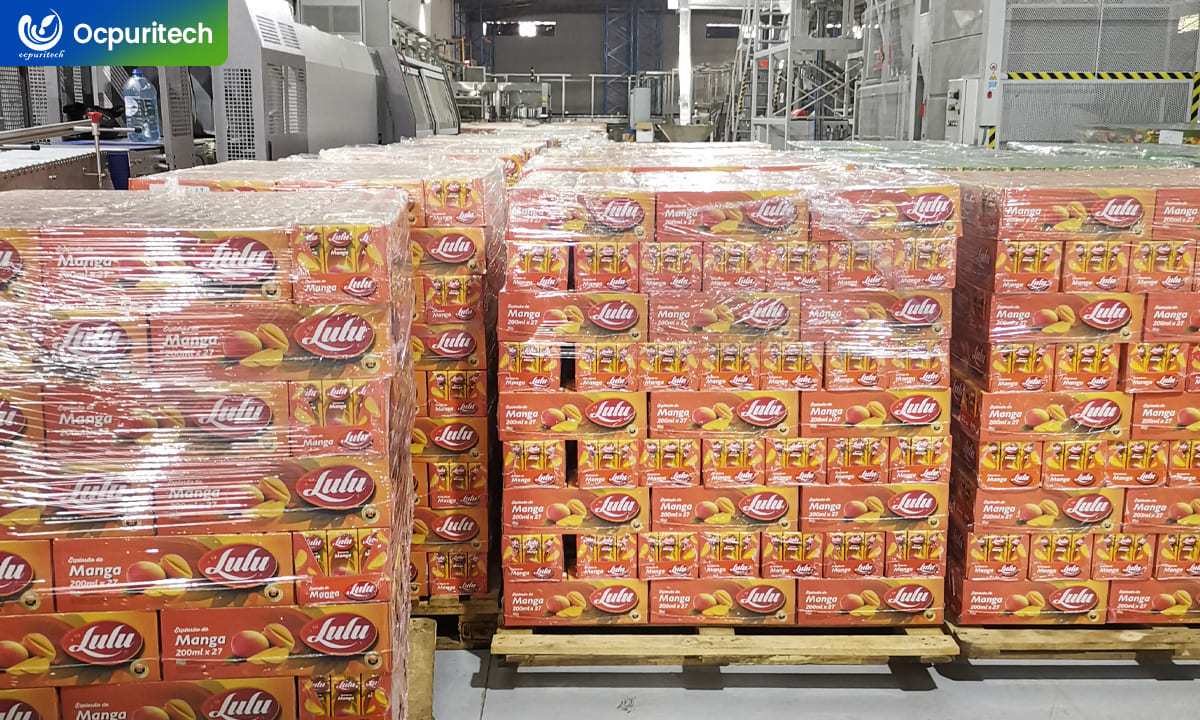 RO system for Angola juice production